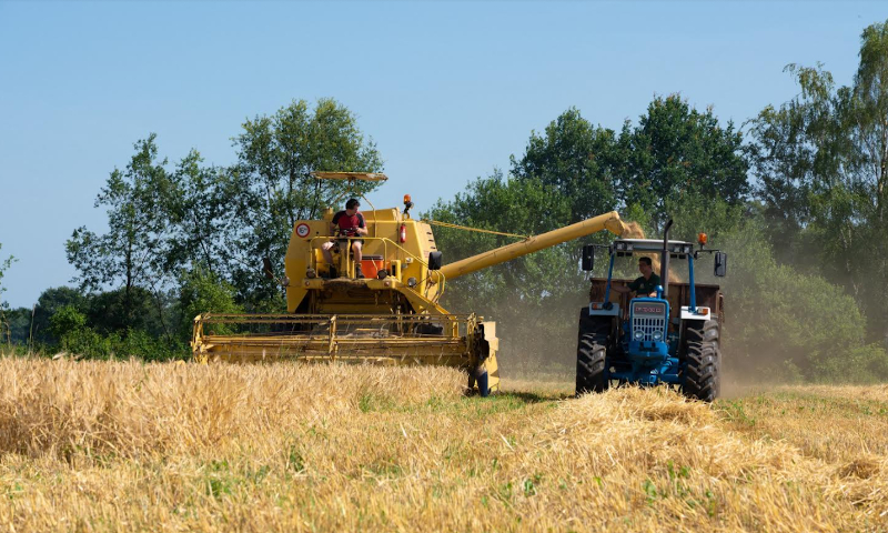Combine oogst graan en vult de aanhanger achter een trekker die naast hem rijdt